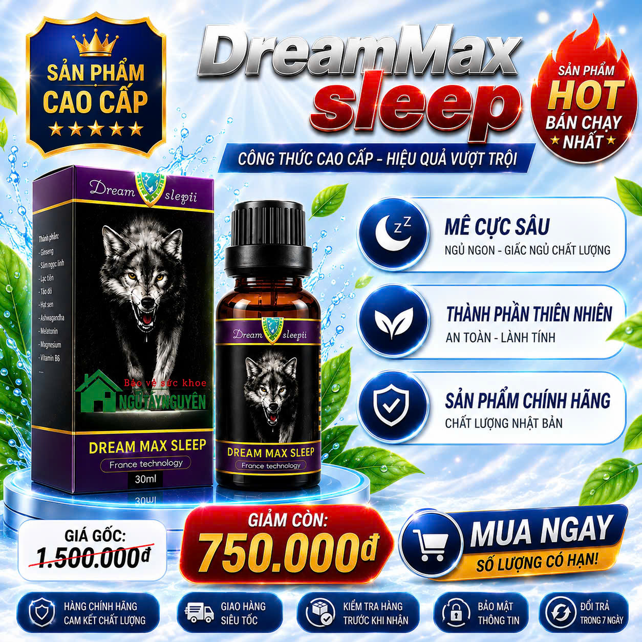 dream